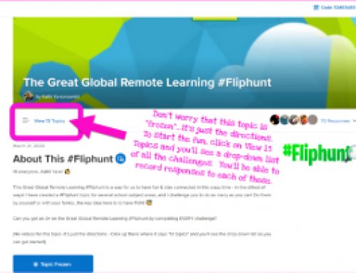The Great Global Remote Learning #Fliphunt